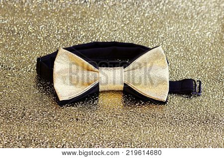 A festive golden with a black bow tie on a gold background