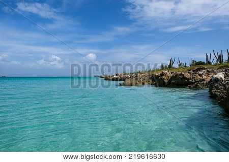 Travel photography - seascape with crystalline water, rocks and cactus in a caribbean island (Cubagua island, Venezuela).