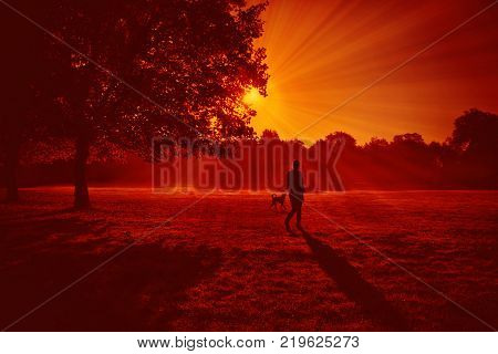 Walk in the fresh air in a park. Girl play with her dog in park alley. Great warm summer evening, sun rays through tree beanches. Concept: pets and owners.