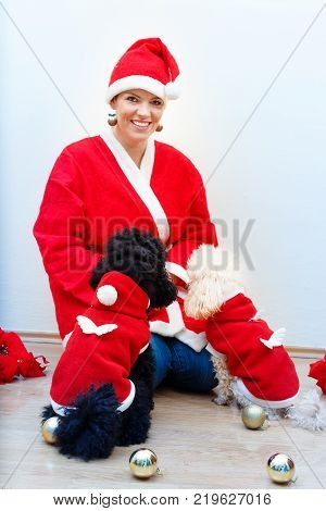 Cheerful young woman in christmas outfit accompanied by two sweet poodles