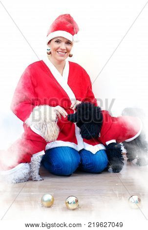 Cheerful young woman in christmas outfit accompanied by two sweet poodles