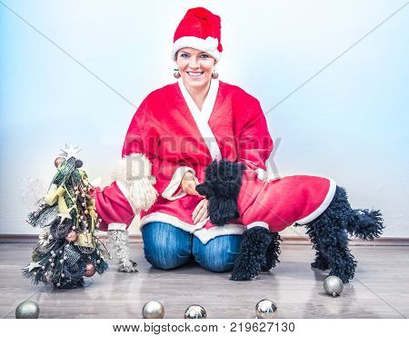 Cheerful young woman in christmas outfit accompanied by two sweet poodles