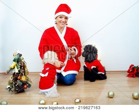 Cheerful young woman in christmas outfit accompanied by two sweet poodles