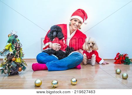 Cheerful young woman in christmas outfit accompanied by two sweet poodles