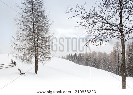 snowy and foggy mountain winter landscape in luesen South Tirol Italy