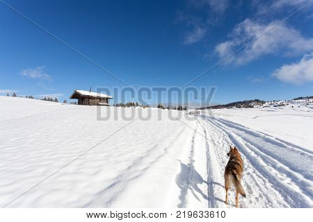 South tirol snow landscape and wooden cabin winter travel europe