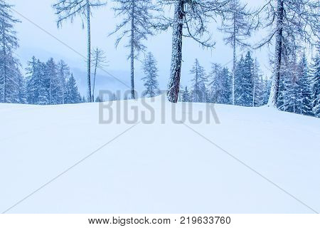 Snowy And Foggy Mountain Winter Landscape