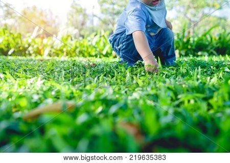 Cute little Asian 1 year old toddler baby boy child playing with leaves Baby touching everything and Kid discovering concept / Soft and Selective focus