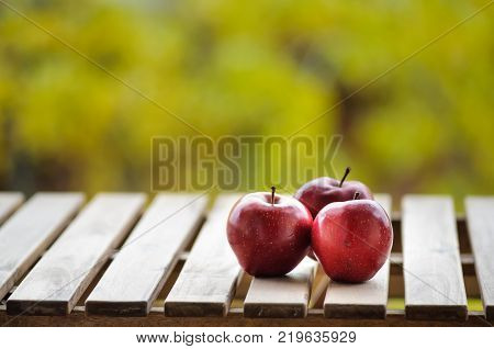 Close up image of three ripe fresh apples on wooden planks outdoors with blurred green background