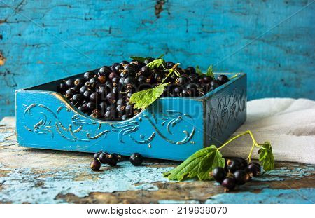 Fresh berries of  currant in blue wooden bowl on wooden background. Ribes aureum known by the common names golden currant clove currant pruterberry and buffalo currant. Selective focus.