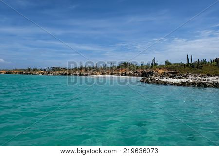 View of Cubagua island with rocks and tropical vegetation (Venezuela).