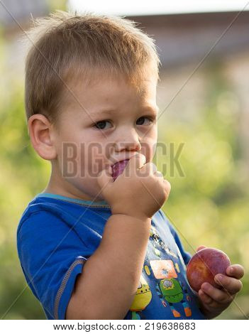 Littele Boy Eating Fruit Plum. Littele Boy Eating Fruit Plum.littele Boy Eating Fruit Plum