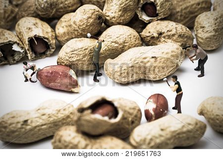a few miniature Farmers working on Peanuts