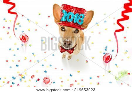 Basketball Player Dog