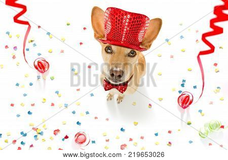 Basketball Player Dog