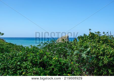 Travel photography seascape with tropical green vegetation next to Caracas  Venezuela 