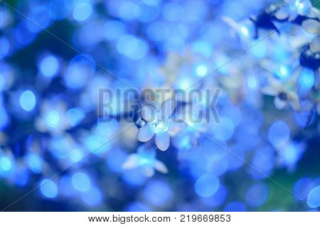 Christmas Led Lights In The Form Of Flowers, Blue Bokeh, Selected Focus