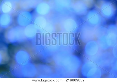 Christmas Led Lights In The Form Of Flowers, Blue Bokeh, Selected Focus