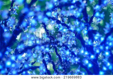 Christmas Led Lights In The Form Of Flowers, Blue Bokeh, Selected Focus