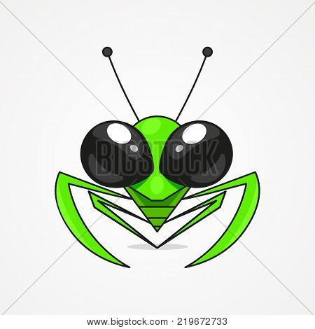 mantis sketch on white background vector illustration