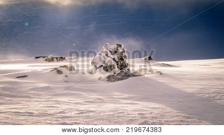 A rock covered by fresh snow. The sun is just breaking through and a strong wind is still blowing the snow flakes through the air.
