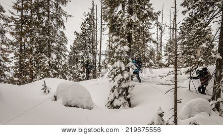 A snowshoe is footwear for walking over snow. Snowshoes work by distributing the weight of the person over a larger area so that the person's foot does not sink completely into the snow