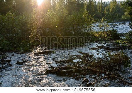 Mountain River In Summer. Bialka River, Poland