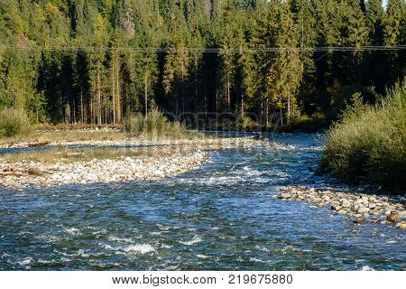 Mountain River In Summer. Bialka River, Poland