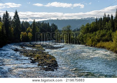 Mountain River In Summer. Bialka River, Poland