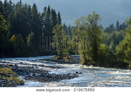Mountain River In Summer. Bialka River, Poland