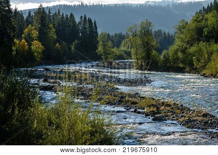 Mountain River In Summer. Bialka River, Poland
