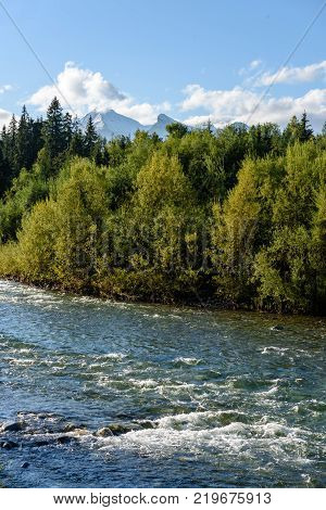 Mountain River In Summer. Bialka River, Poland