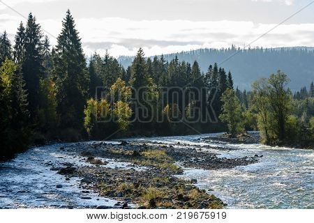 Mountain River In Summer. Bialka River, Poland