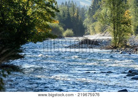 Mountain River In Summer. Bialka River, Poland