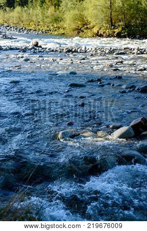 Mountain River In Summer. Bialka River, Poland