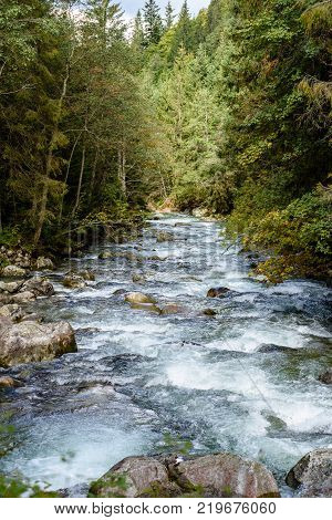 Mountain River In Summer. Bialka River, Poland