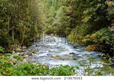 Mountain River In Summer. Bialka River, Poland