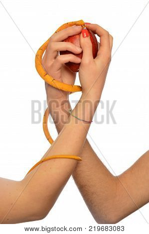 Metaphorical image of the symbolism of Adam and Eve 001