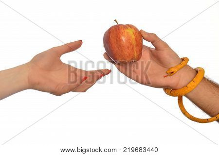 Metaphorical image of the symbolism of Adam and Eve 002