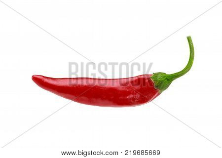 one ripe red hot spicy chili pepper isolated on white background