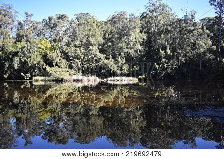 A beautiful Australian river with a reflection