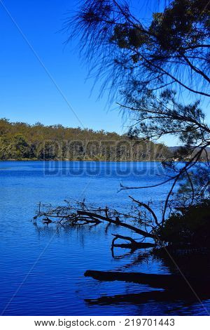 A large Australian lake surrounded by trees