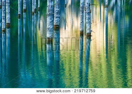 Dried-out trunks of submerged Schrenk's Spruce trees that rise above the water's surface from the bottom of the lake.
The Sunken Forest of Lake Kaindy.
Lake Kaindy, meaning the 