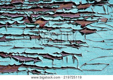 texture of old cracked wood painted blue close up