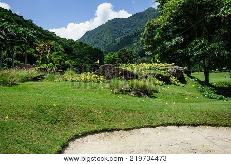 Travel photography - golf course with flying yellow butterflies next to Caracas (Venezuela).