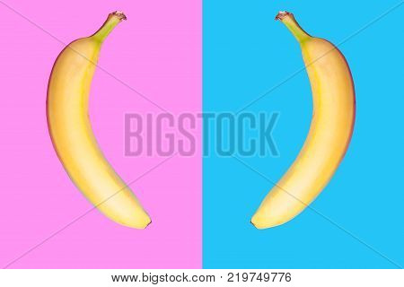 Two bananas facing eatch other on two colroed background. Flat style