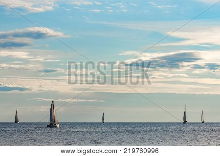 Sailboats Traveling By Baltic Sea