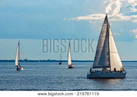 Sailboats Traveling By Baltic Sea