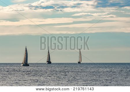 Sailboats Traveling By Baltic Sea