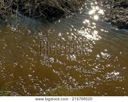 Streams Of Water In A Small River. The Flow Of Water